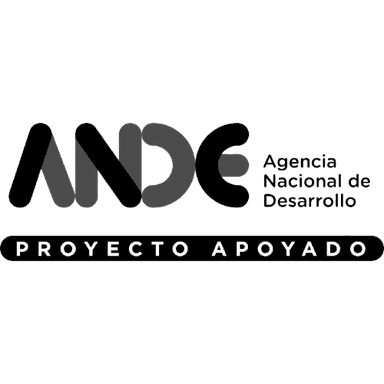 ANDE